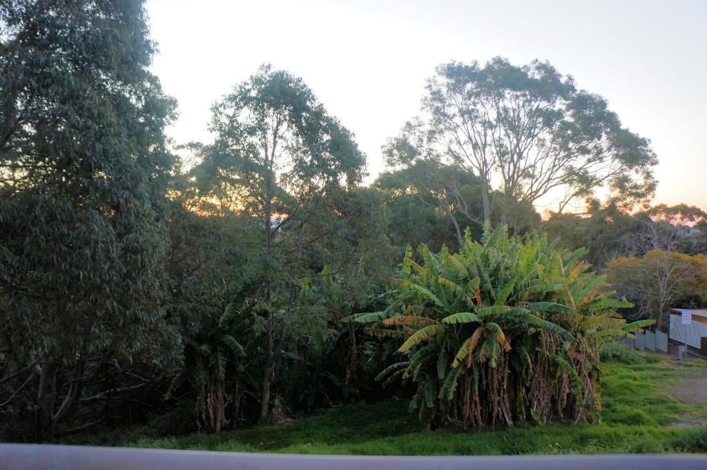 Panorama Motor Inn Newcastle Ruang foto